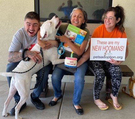 Spotlight on Mary S. Roberts Pet Adoption Center Helping pets