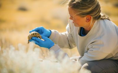 Grantee Spotlight: The Living Desert – the IE’s international wildlife conservation organization