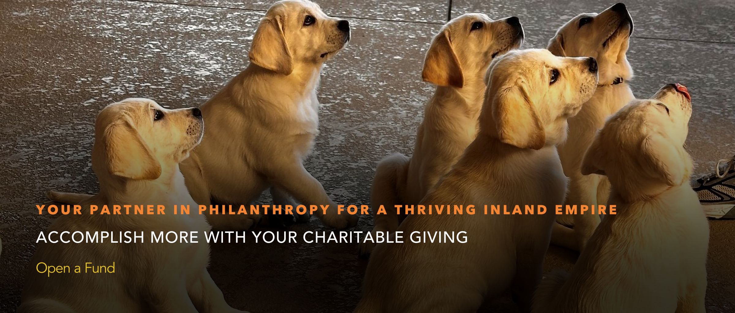 Your Partner in Philanthropy