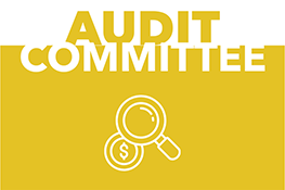 Audit Committee