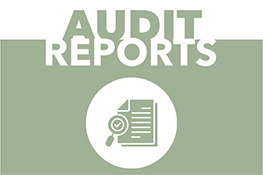 Audit Reports