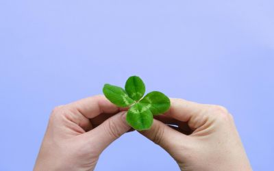 Why 2026 is different: Four tax-time reminders